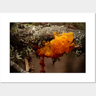 Witches' Butter Mushroom Posters and Art